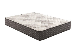 Aspen 12.25" Twin Mattress White An...