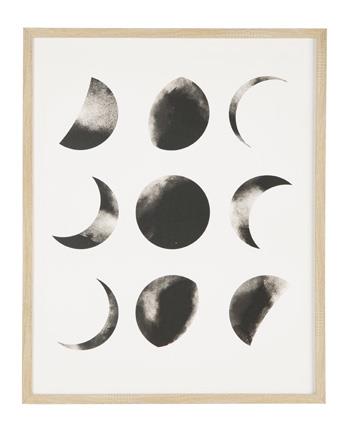 Shaydunn Wall Art