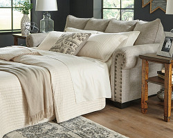                                                  							Zarina Queen Sofa Sleeper
                                                						 